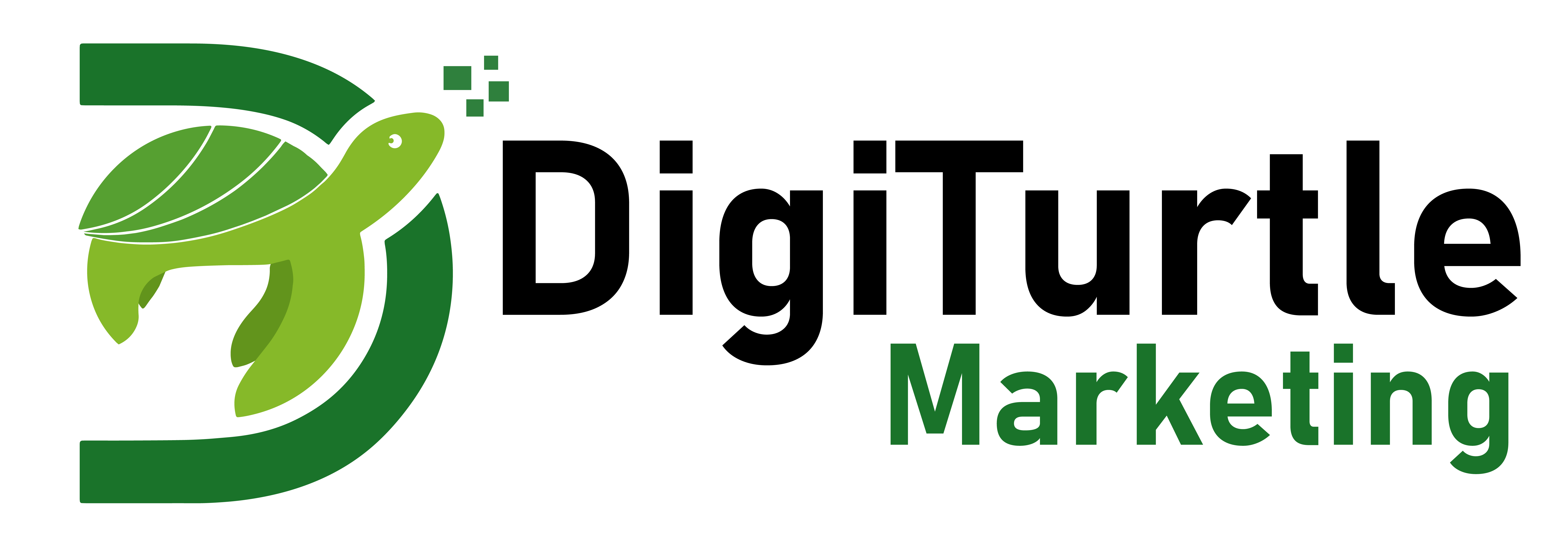 DigiTurtle Marketing
