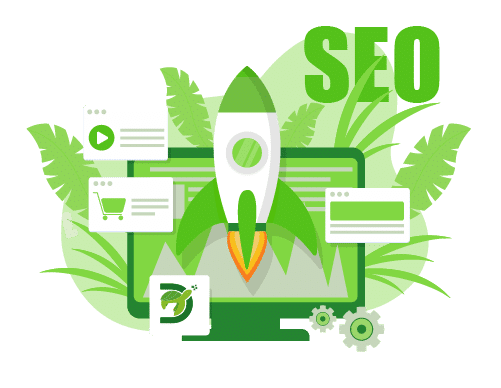 SEO Services | Digiturtle Marekting