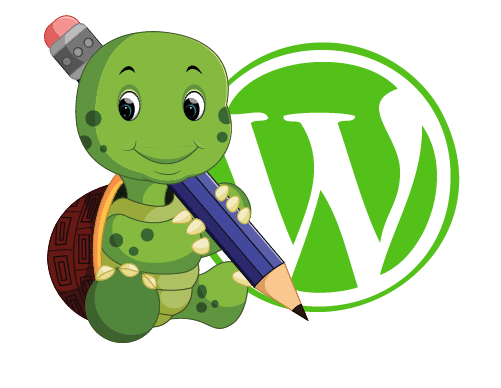 Wordpress Website Design Agency