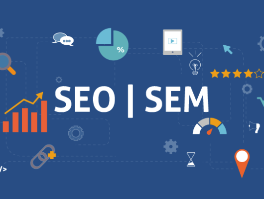 SEO and SMM | Digiturtle Marketing